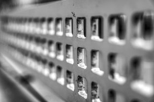 开云体育备用网址-青少年体质监测结果区域对比研究，青少年健康体质检测中心