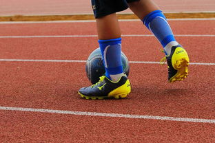 开云官网入口注册-明星球员带动体育产业发展，打造体育明星的弊端